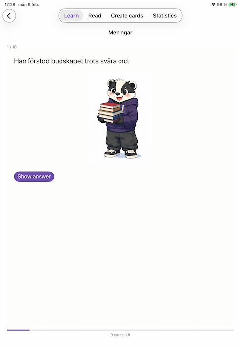iOS version on iPad, question